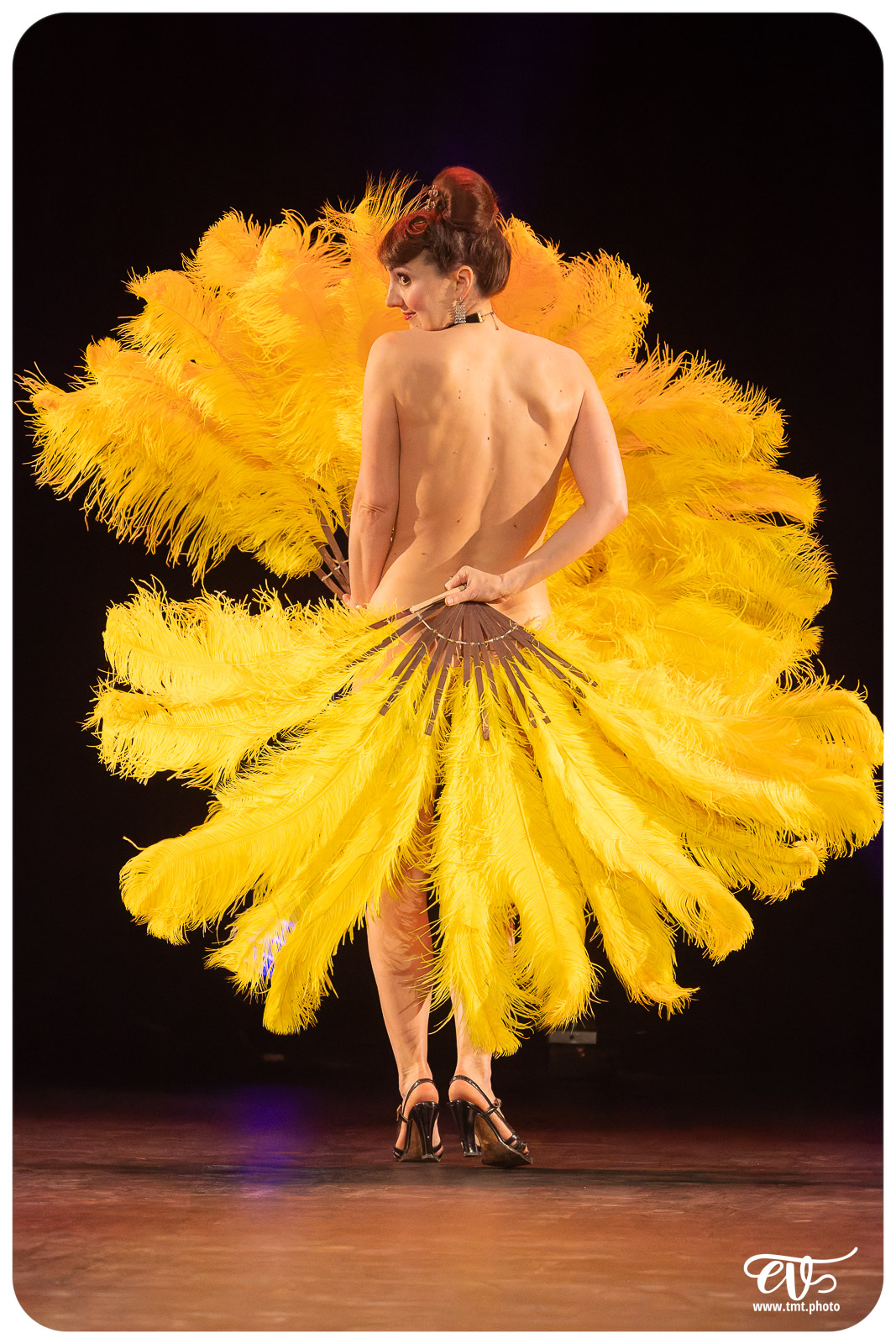 CABARET CANAILLE (LE BURLESQUE KLUB)